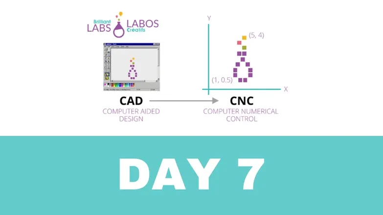 12 Days of Brilliance - Day 7 - Carve it UP!