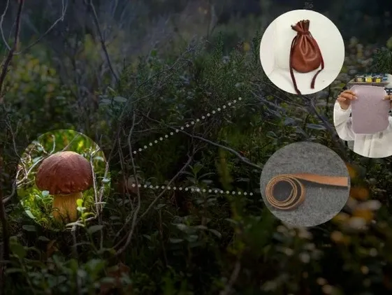 Bio-Making: grow & make your own materials