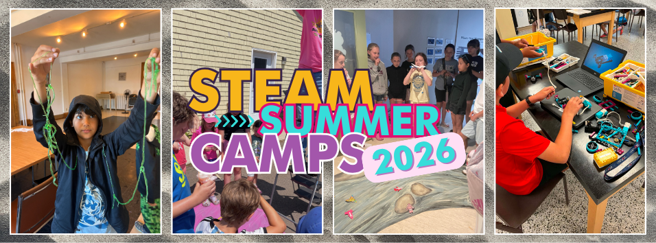 A Summer of Curiosity: Our STEAM Mentors Share Their Stories