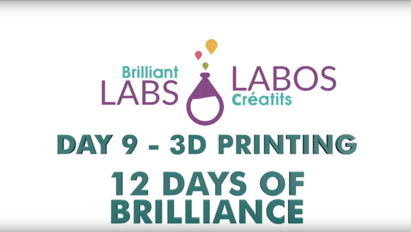 12 Days of Brilliance - Day 9 - 3D Printing