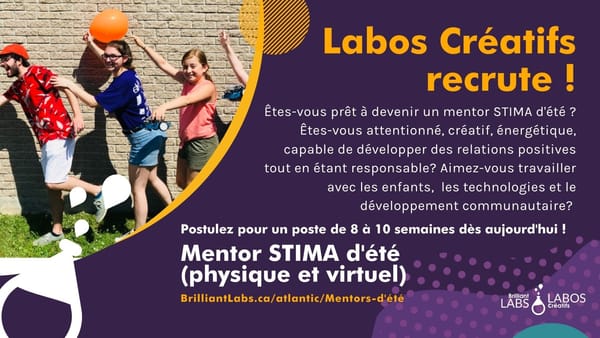 Recrutement Mentor STIMA d'été