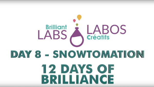 12 Days of Brilliance - Day 8 - Snowtomation!