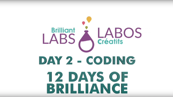 12 Days of Brilliance - Day 2 -
