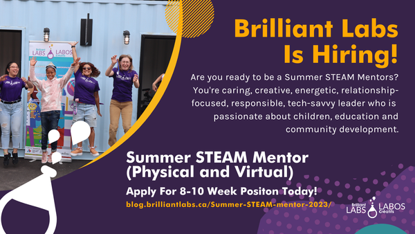 Summer STEAM Mentor