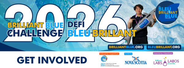 The Tides are Rising for 2026: A Message From the Brilliant Blue Team!