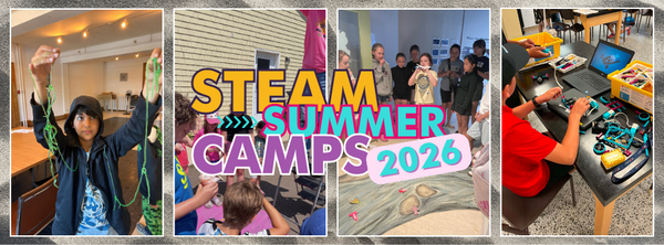 A Summer of Curiosity: Our STEAM Mentors Share Their Stories